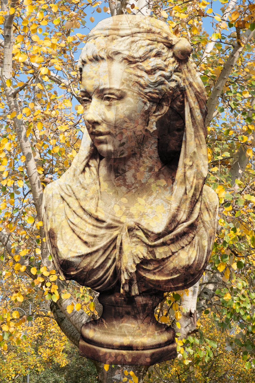 2019 (technique mixte numérique) - Olivia Gozzano