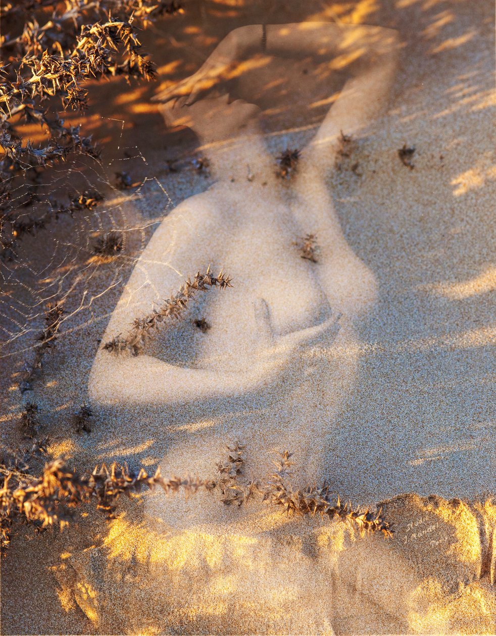 Nudo su sabbia, 2019 (technique mixte numérique) - Olivia Gozzano