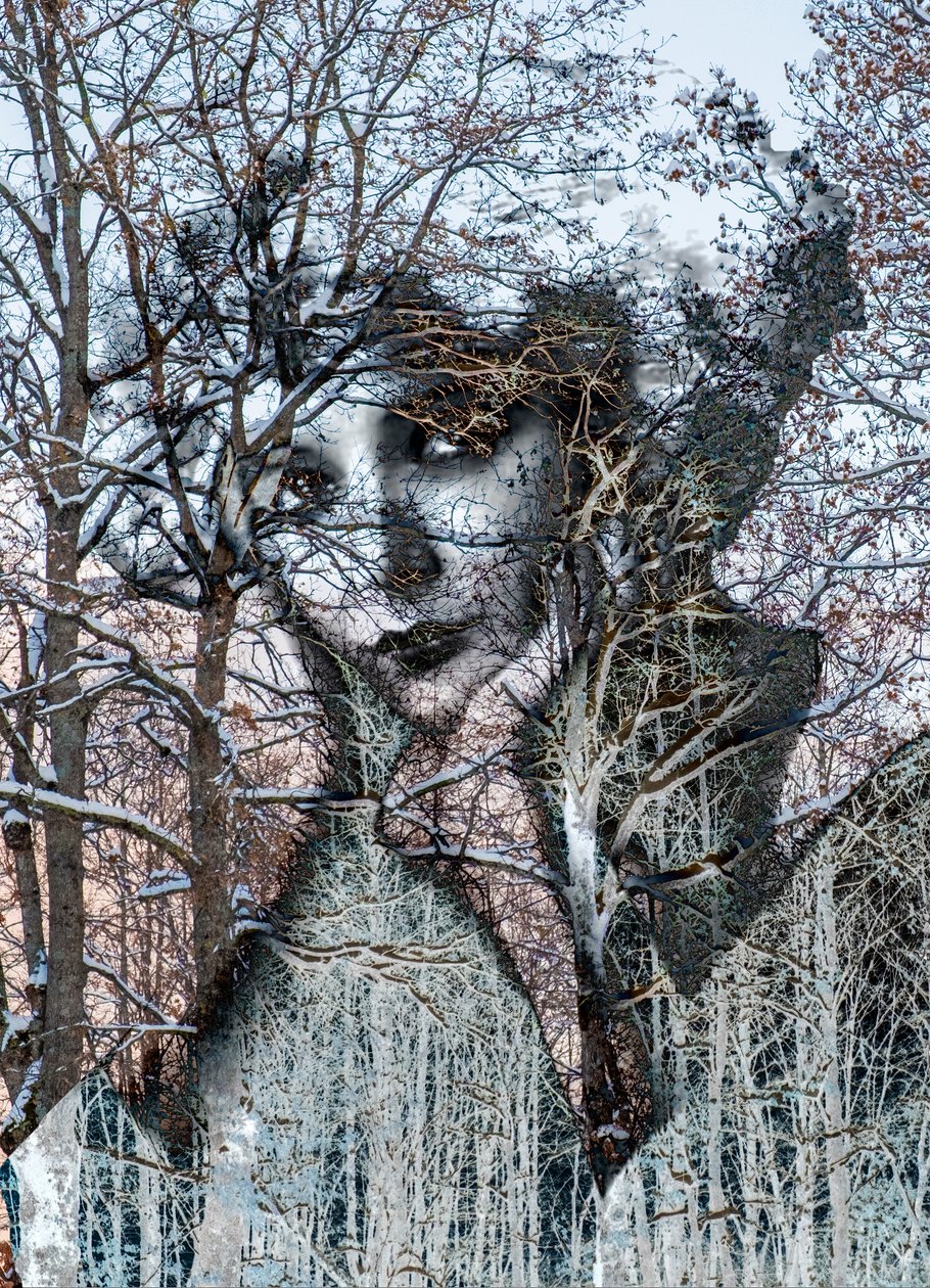 Ritratto invernale, 2021(digital mixed media) - Olivia Gozzano