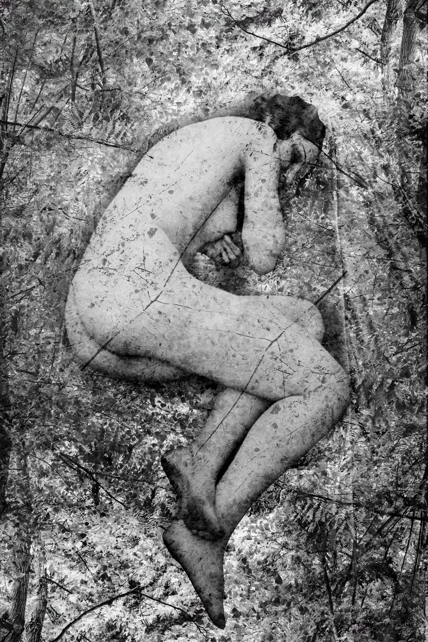 Seme, 2024 (mixedmedia numérique) - Olivia Gozzano