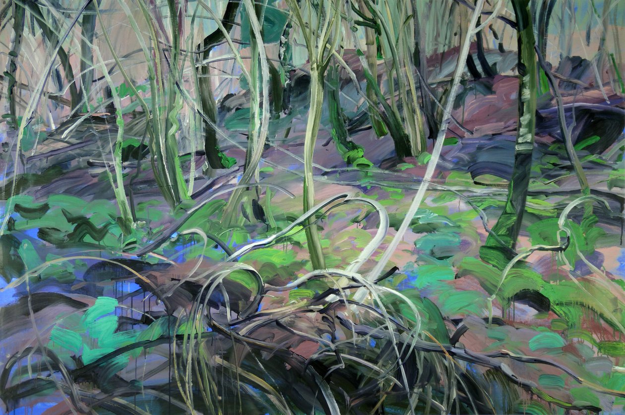Forêt 1 - Olivier Morel