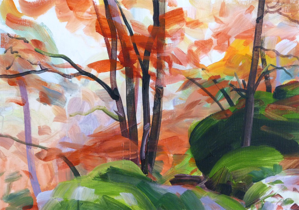 Forêt 34 - Olivier Morel