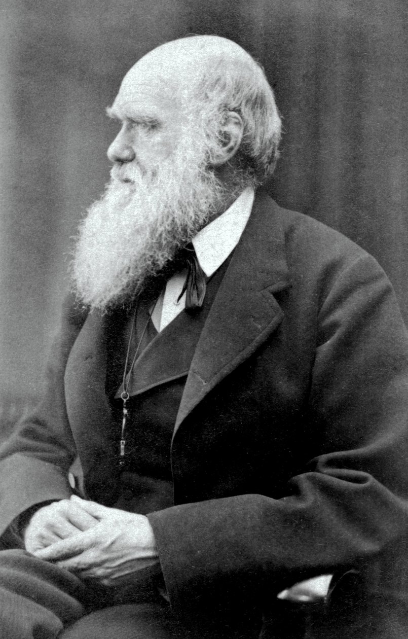 Charles Darwin, 1875 - Oscar Gustav Rejlander