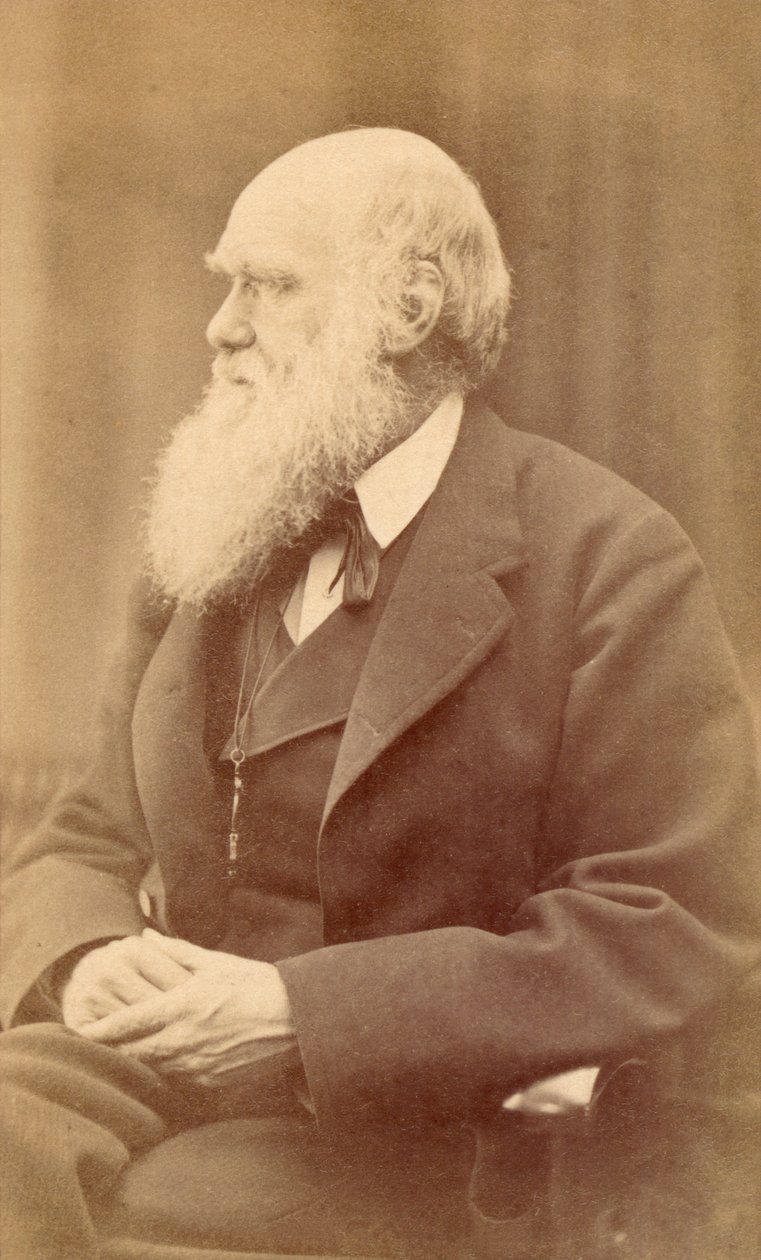Portrait de Charles Darwin à 72 ans, vers 1871 - Oscar Gustav Rejlander