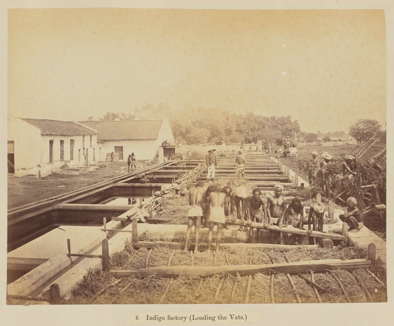 Usine d