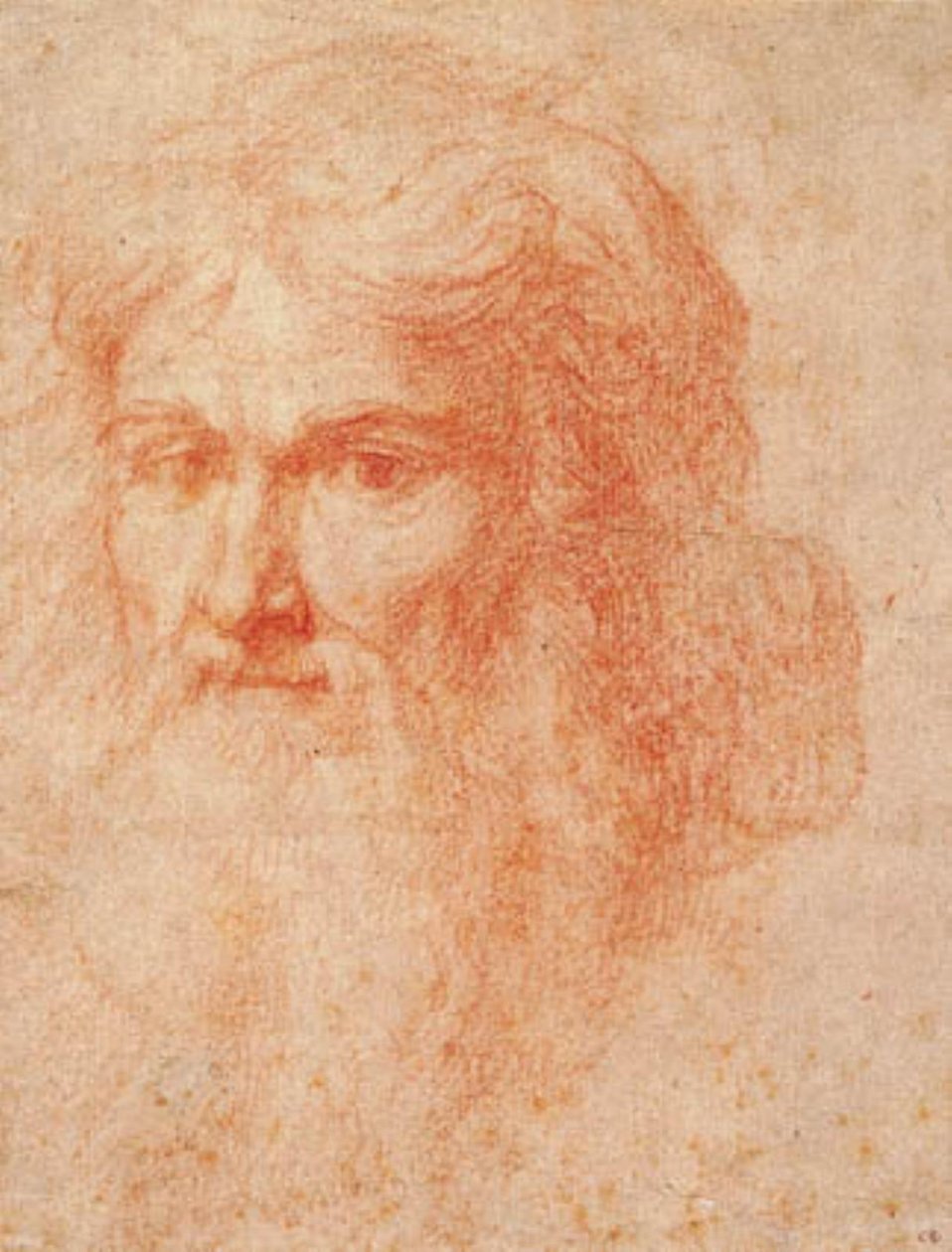 Tête d'un homme avec une longue barbe | Ottavio Vannini
