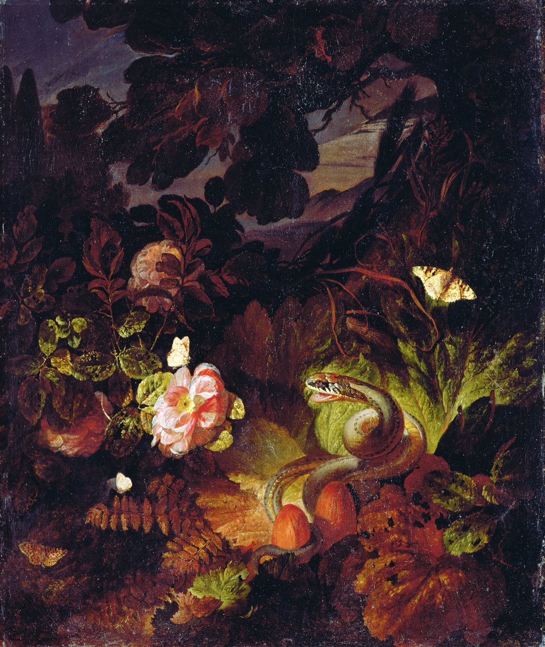 Fleurs, serpent et papillons - Otto Marseus  van Schrieck