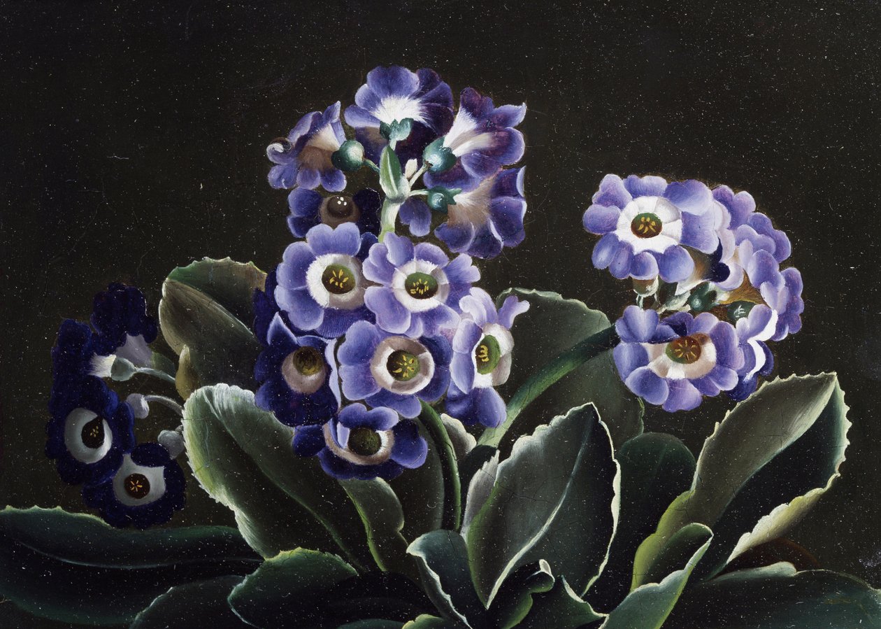  - Otto Didrik Ottesen