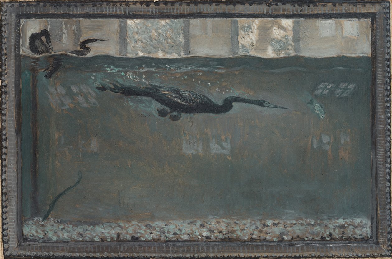 Cormoran plongeur, 1900 - Otto H. Bacher