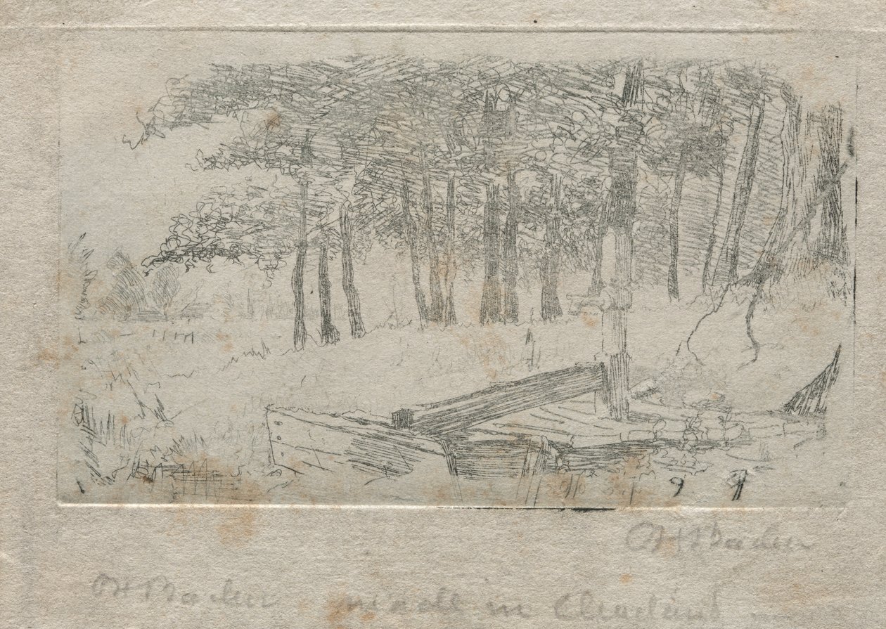 Croquis de la nature, 1879 - Otto H. Bacher