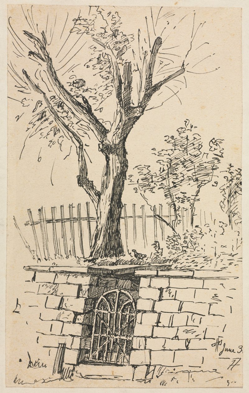 Arbre sur un mur de pierre, Cleveland - Otto H. Bacher