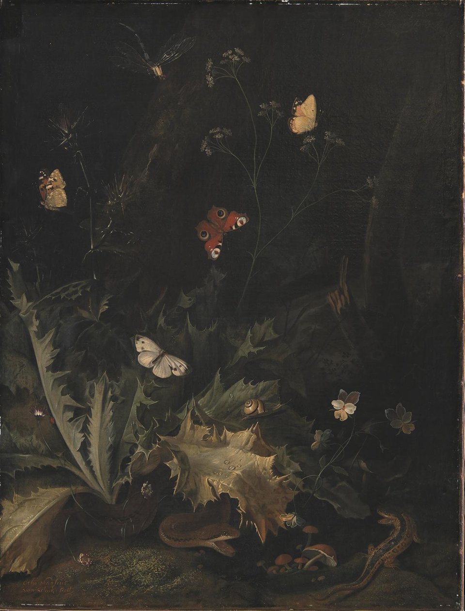 Un Sol Forestier avec un Chardon, un Serpent, un Lézard et des Papillons - Otto Marseus  van Schrieck