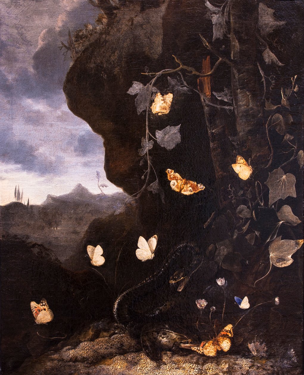 Serpents, crapauds et papillons - Otto Marseus van Schrieck