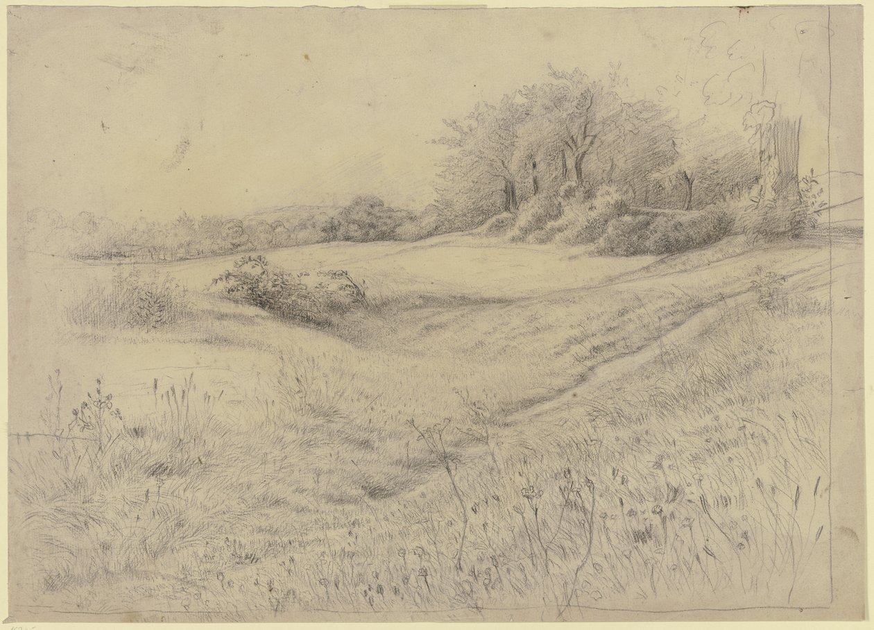 Paysage forestier près de Kronberg - Otto Scholderer