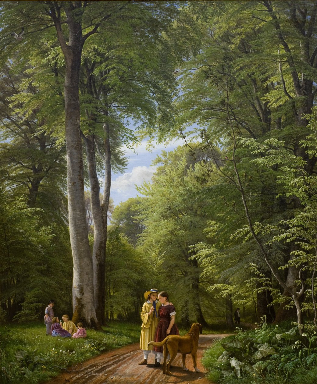 Un bois de hêtres en mai près du manoir d