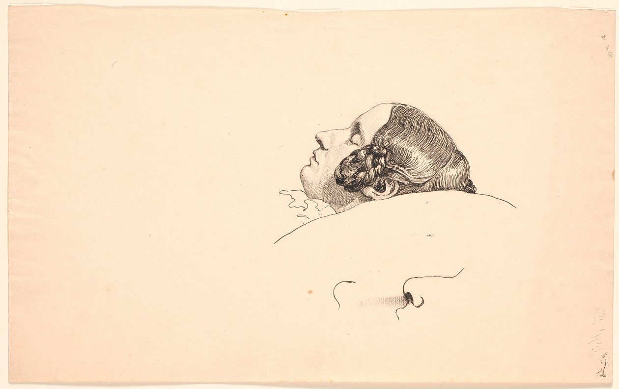 Tête de profil de l