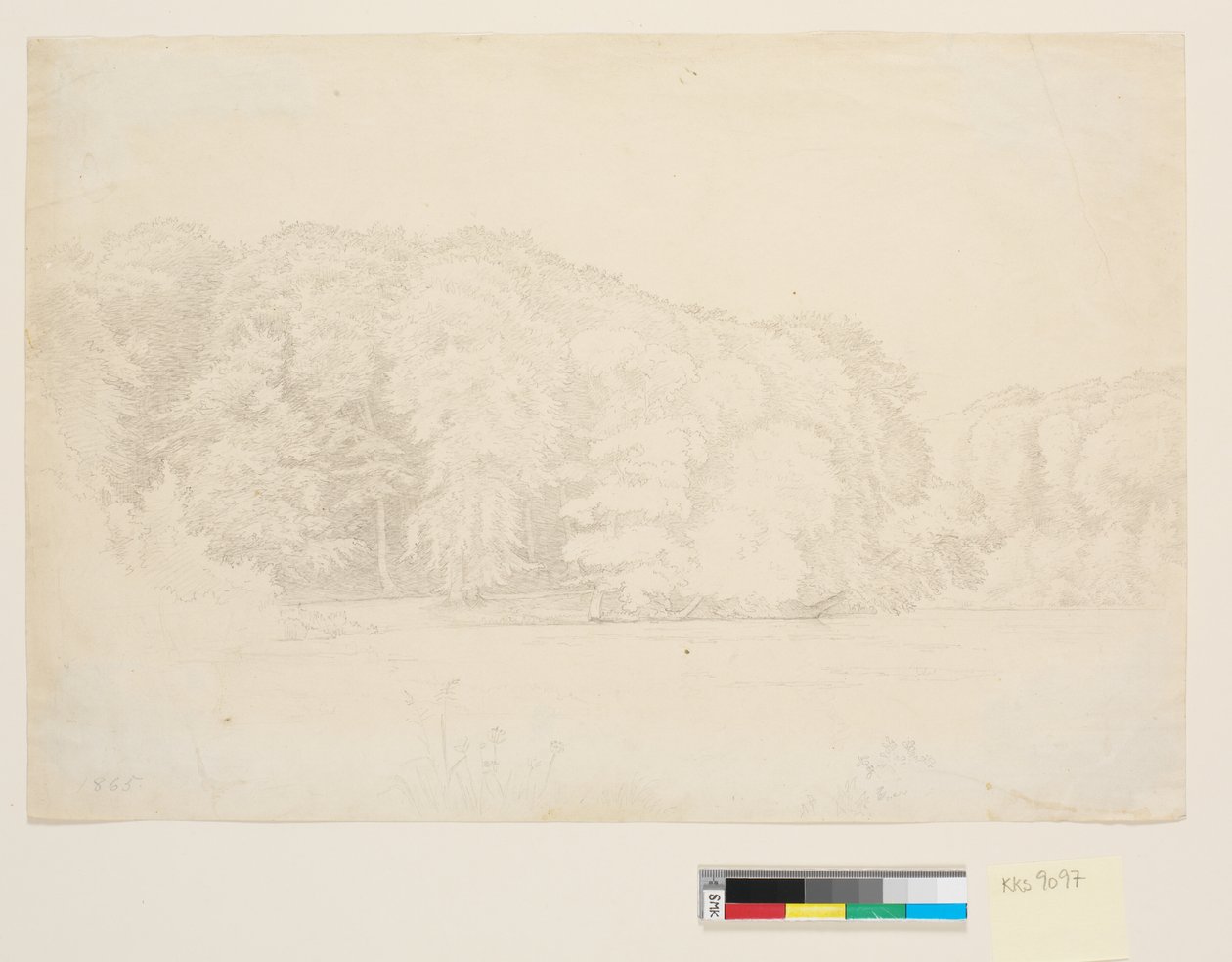 Lac forestier avec de grands hêtres en arrière-plan - P.C. Skovgaard