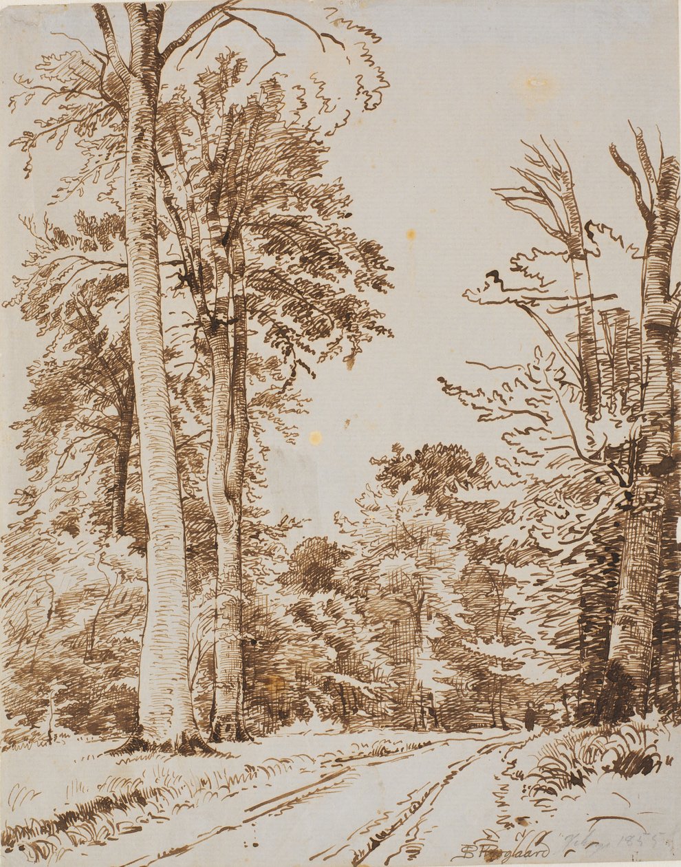 Chemin forestier. Iselinge - P.C. Skovgaard