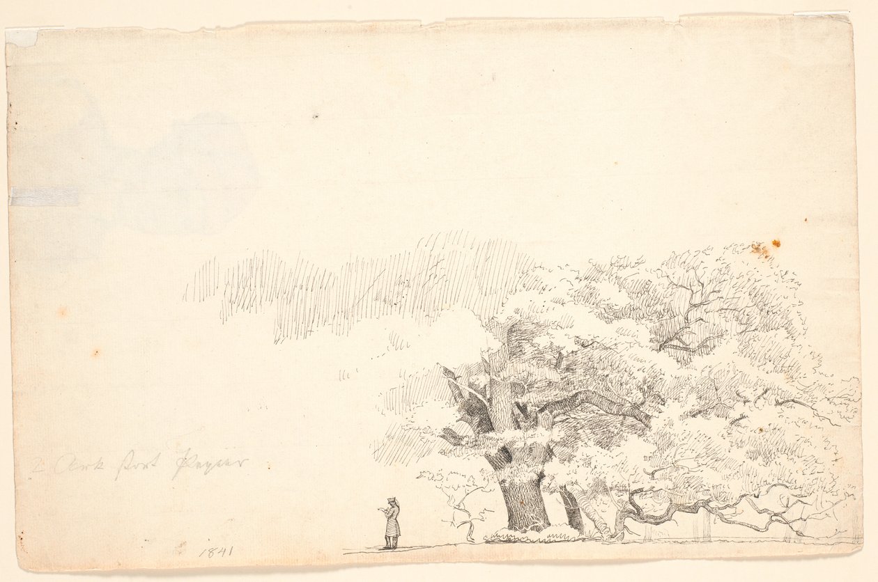 Grands chênes, à gauche un homme lisant - P.C. Skovgaard