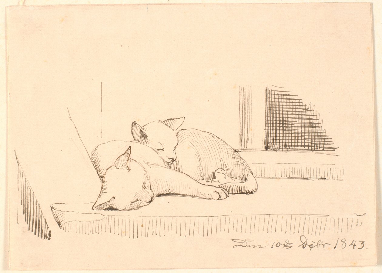 Deux chats endormis - P.C. Skovgaard
