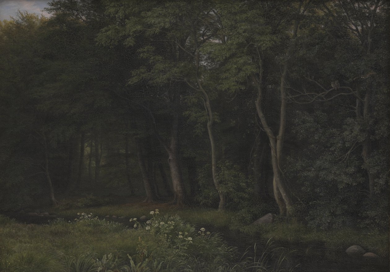 Crépuscule dans un bois près du manoir d