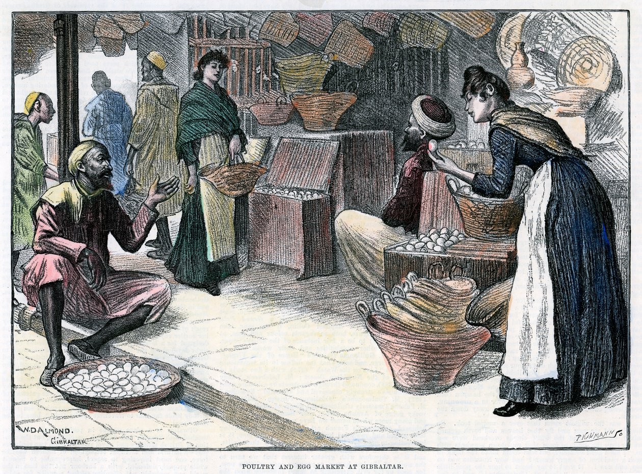 Marché de volailles et d