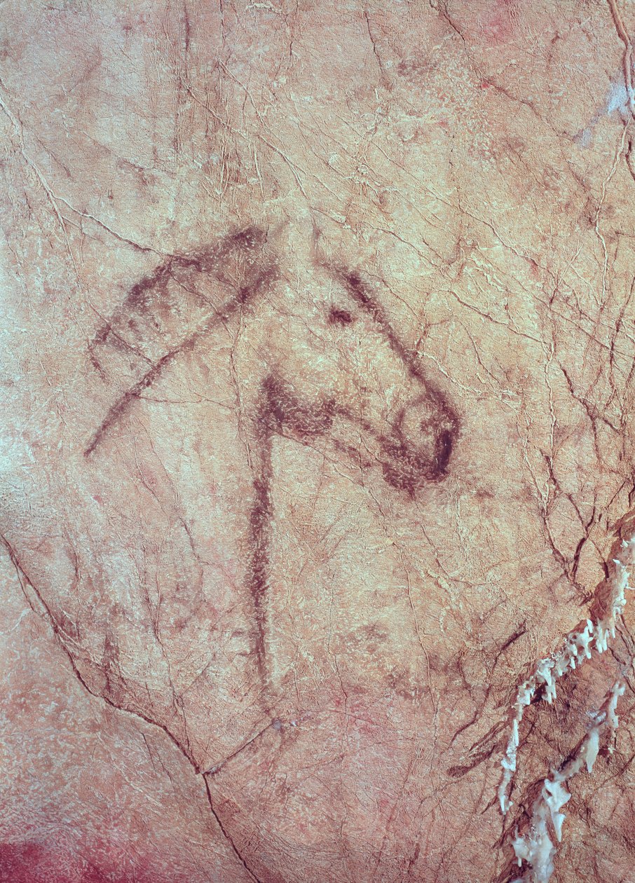 Tête de cheval, de la Cueva de la Peña de Candamo San Roman (peinture rupestre) - Paleolithic