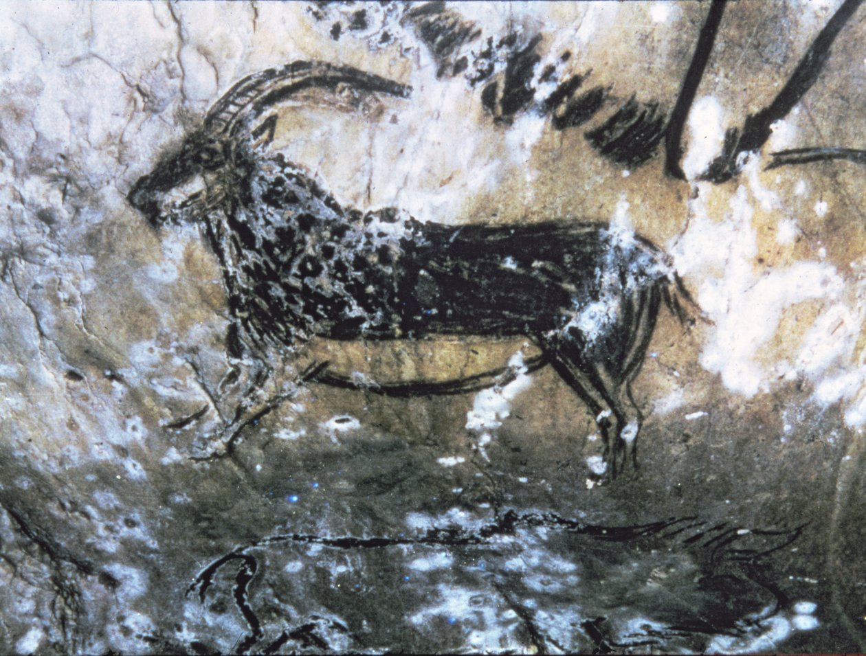 Chèvre ou chamois, peinture rupestre dans la Salle Noire, Magdalénien - Paleolithic Paleolithic