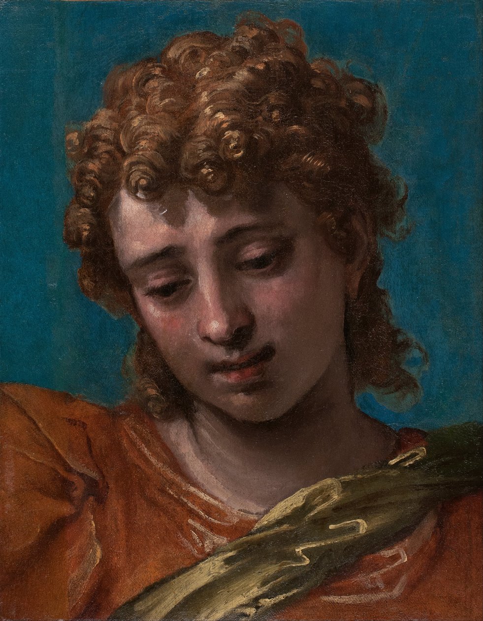 Tête de Saint Michel, du retable Petrobelli - Paolo Caliari
