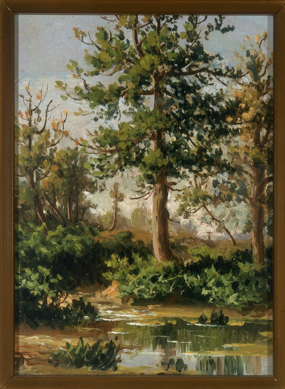 Un ruisseau parmi la verdure - Paolo Ferretti