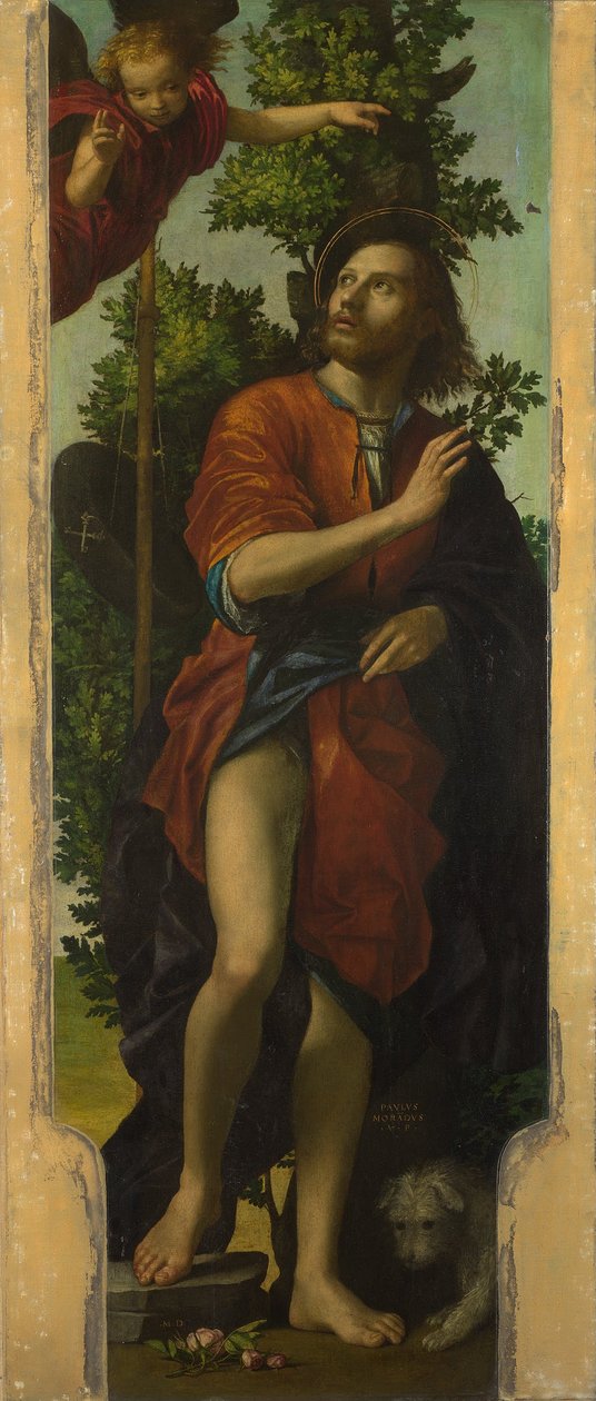 Saint Roch - Paolo Morando Cavazzola