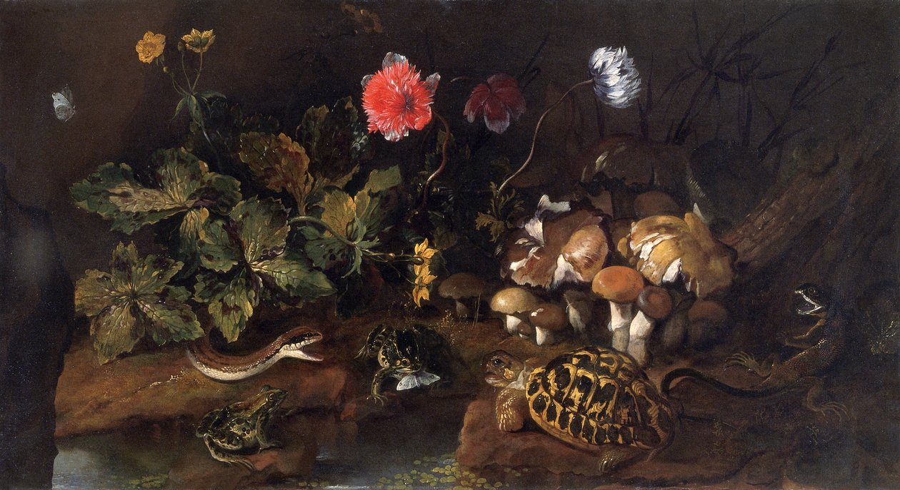 Nature morte avec un serpent, des grenouilles, une tortue et un lézard - Paolo Porpora