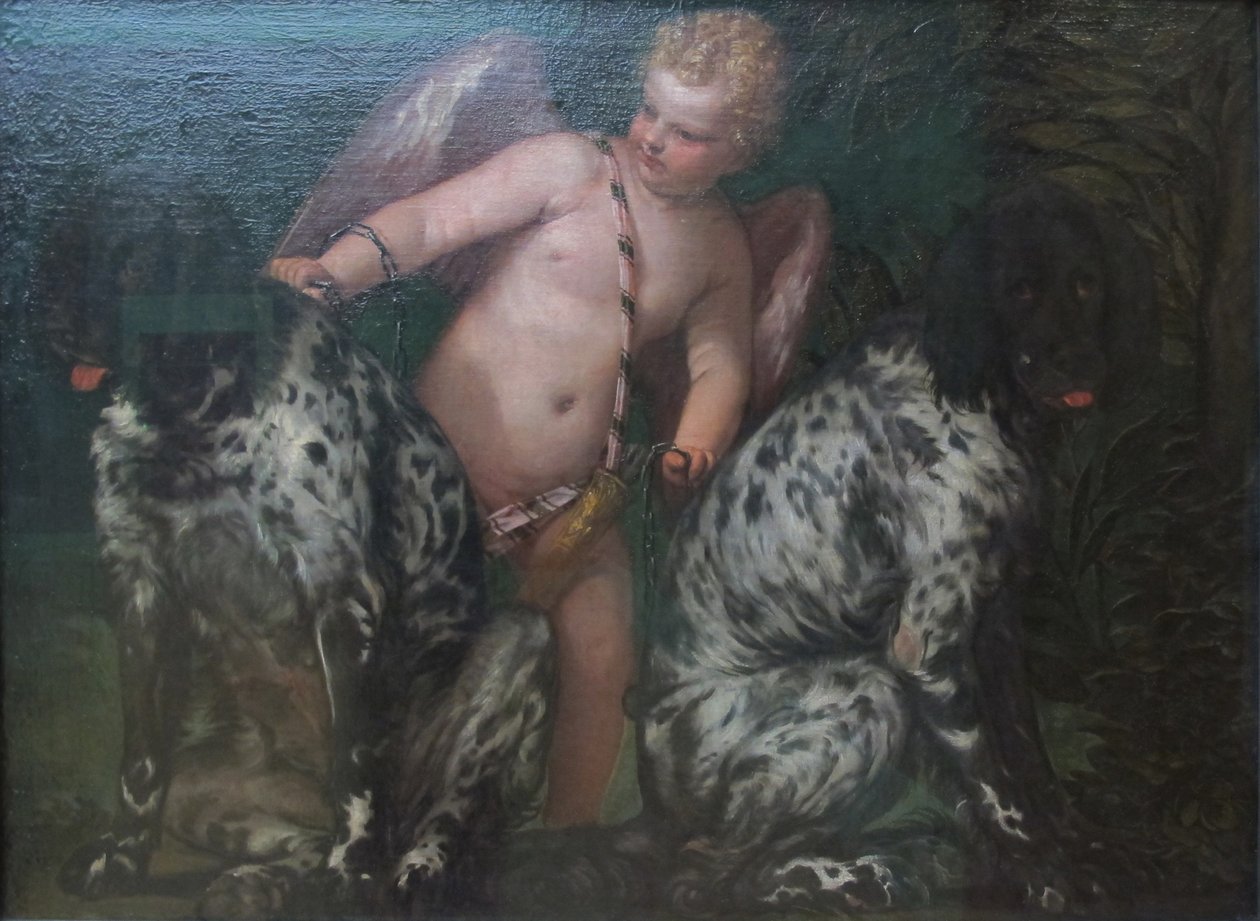 Cupidon avec deux chiens - Paolo Veronese