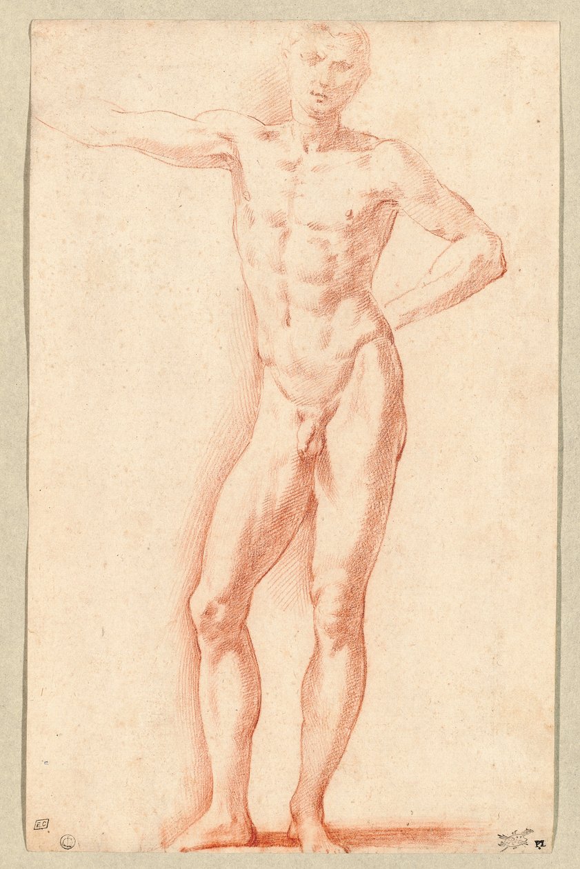 Nu masculin (craie rouge) - Parmigianino (1503-40)