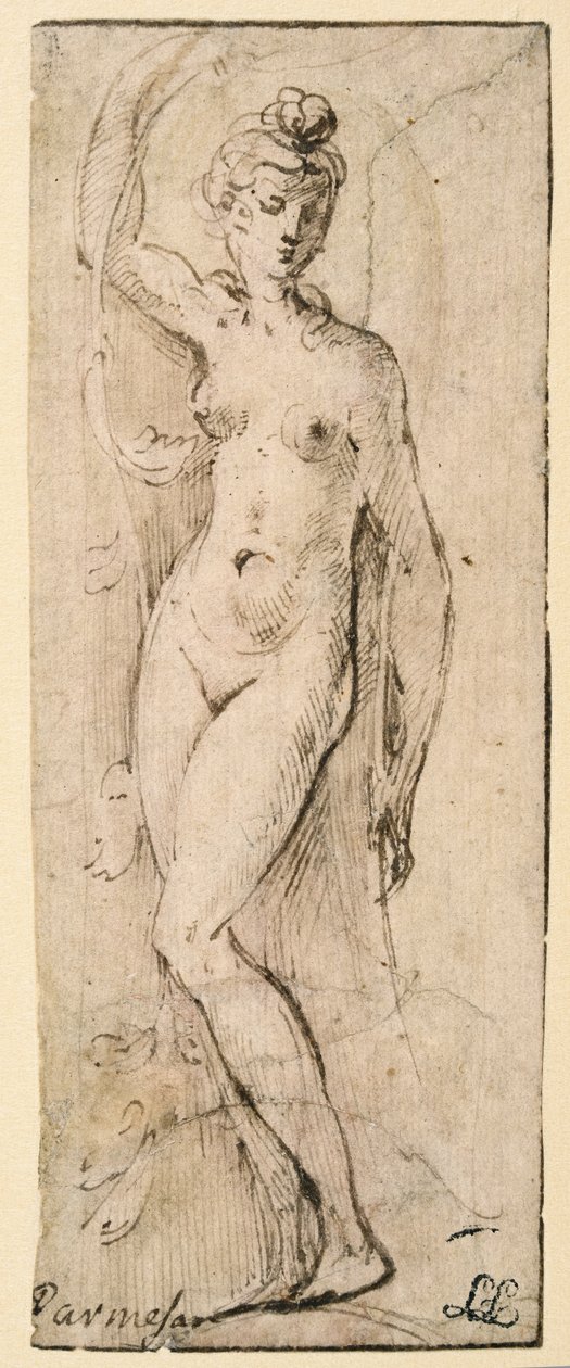 Figure féminine - étude pour Santa Maria della Steccata, Parme (recto) - Parmigianino