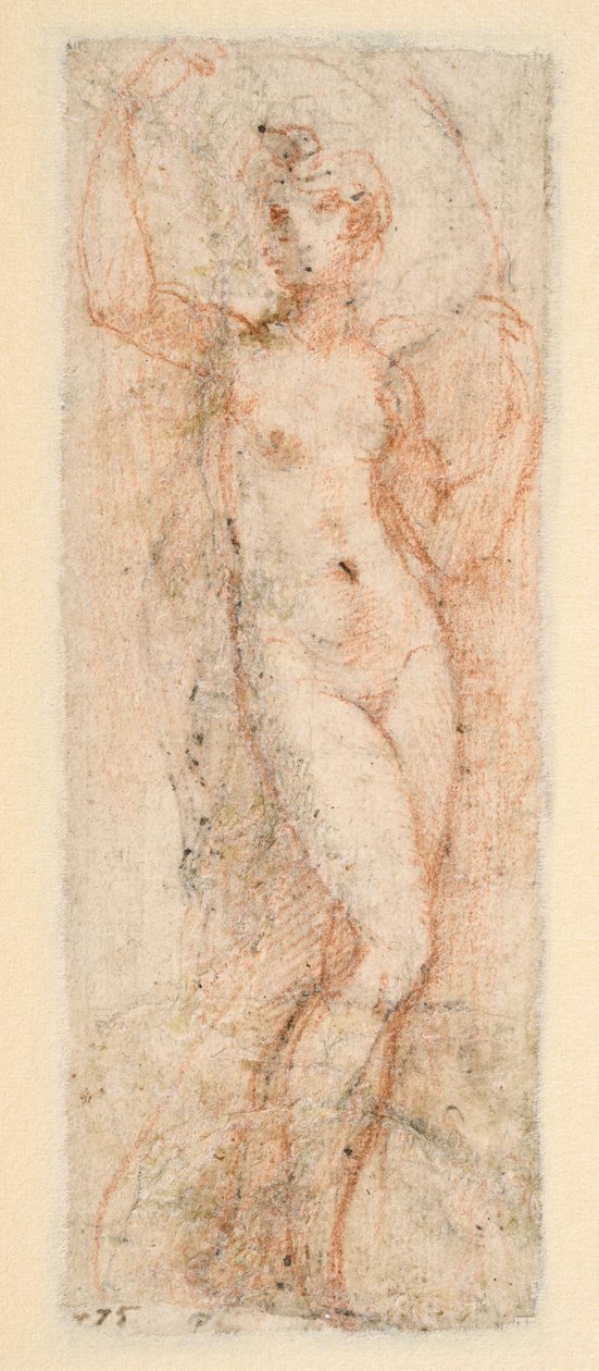 Figure féminine - étude pour la Steccata - Parmigianino