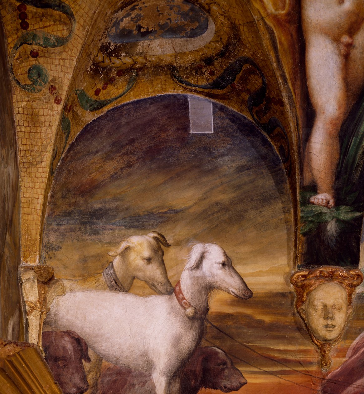 Groupe de chiens, du Mythe de Diane et Actéon - Parmigianino