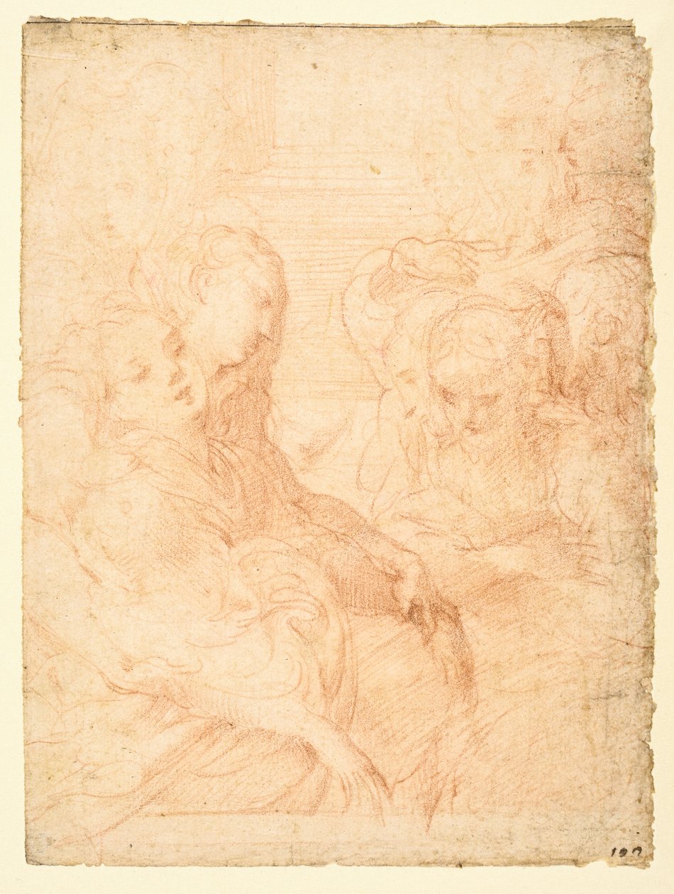 Groupe de femmes (recto) - Parmigianino