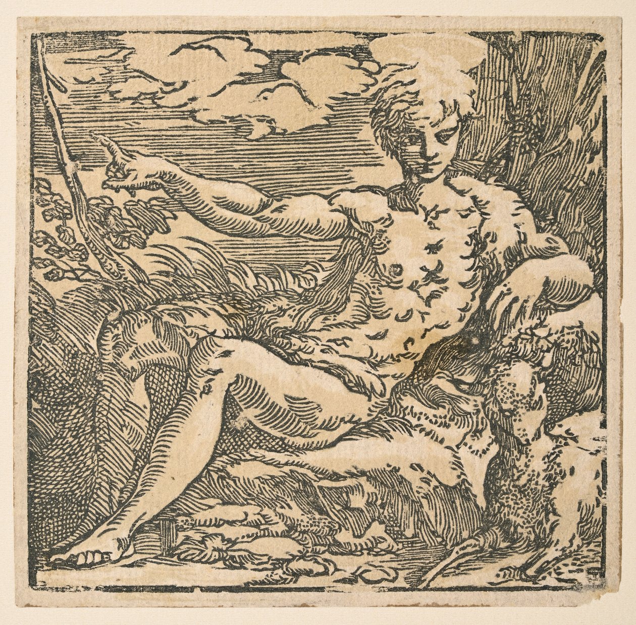 Saint Jean-Baptiste dans le désert - Parmigianino