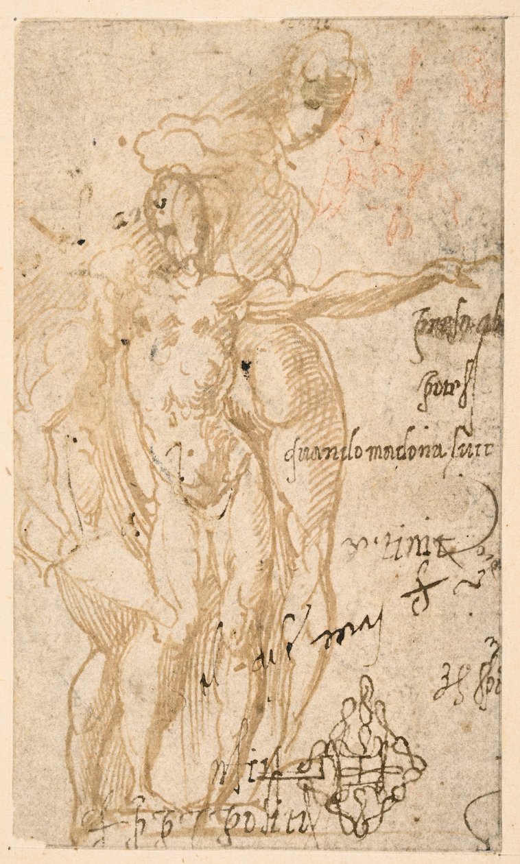 Étude de trois figures nues - Parmigianino