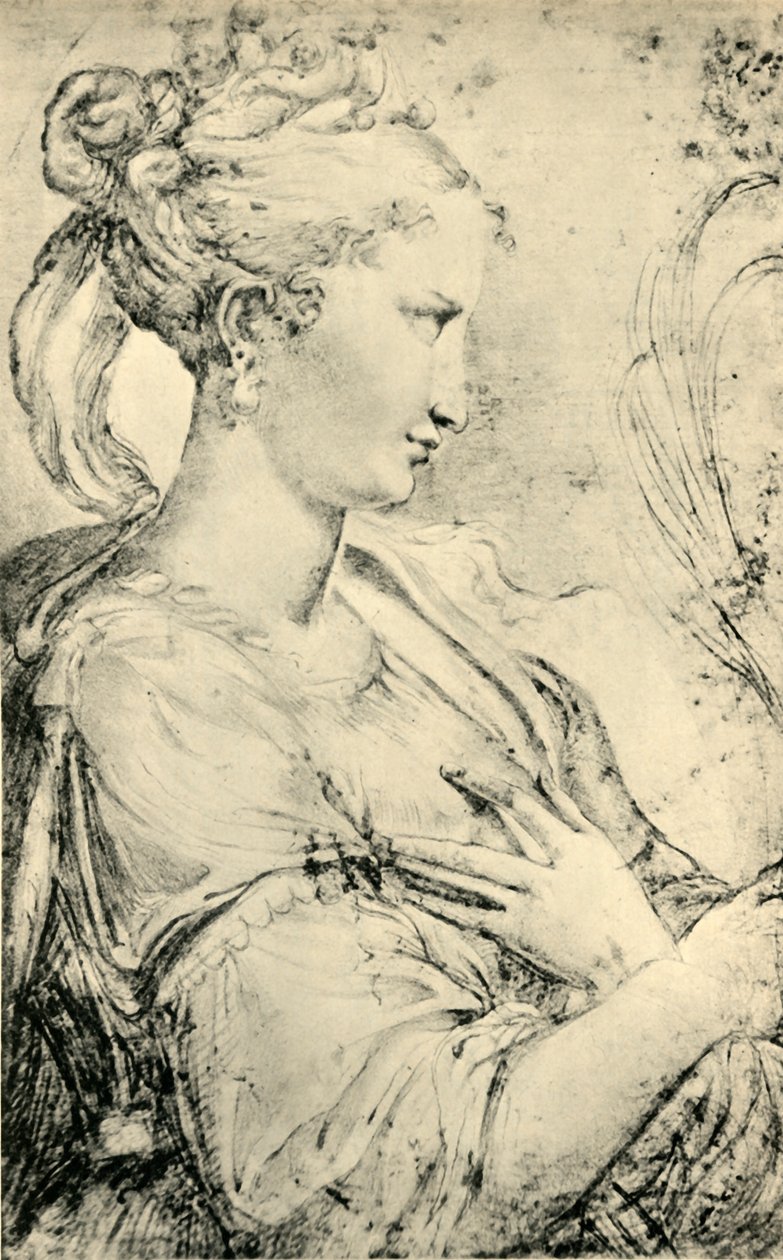 Étude de Sainte Catherine, vers 1530-1540, 1943 - Parmigianino