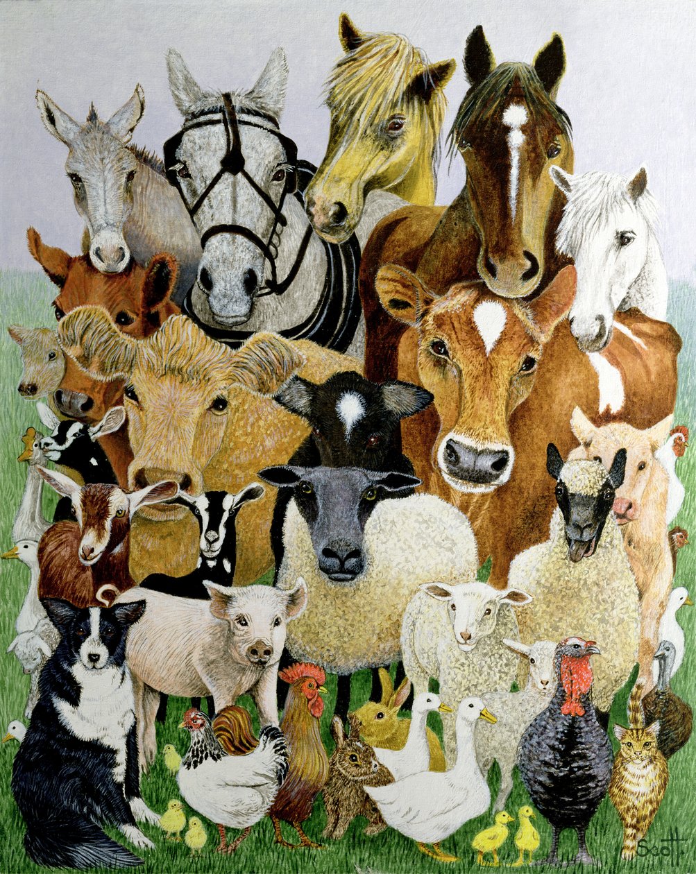 Animaux divers (acrylique sur calicot) - Pat Scott