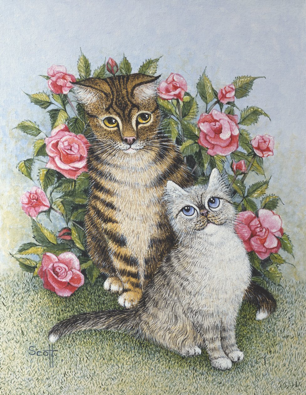 Attraction (huile sur toile) - Pat Scott