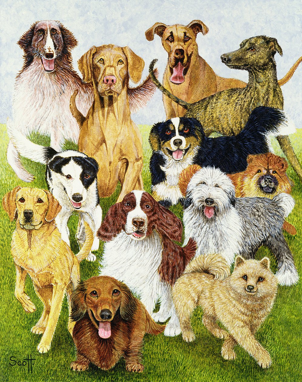 Dog Days (huile sur toile) - Pat Scott