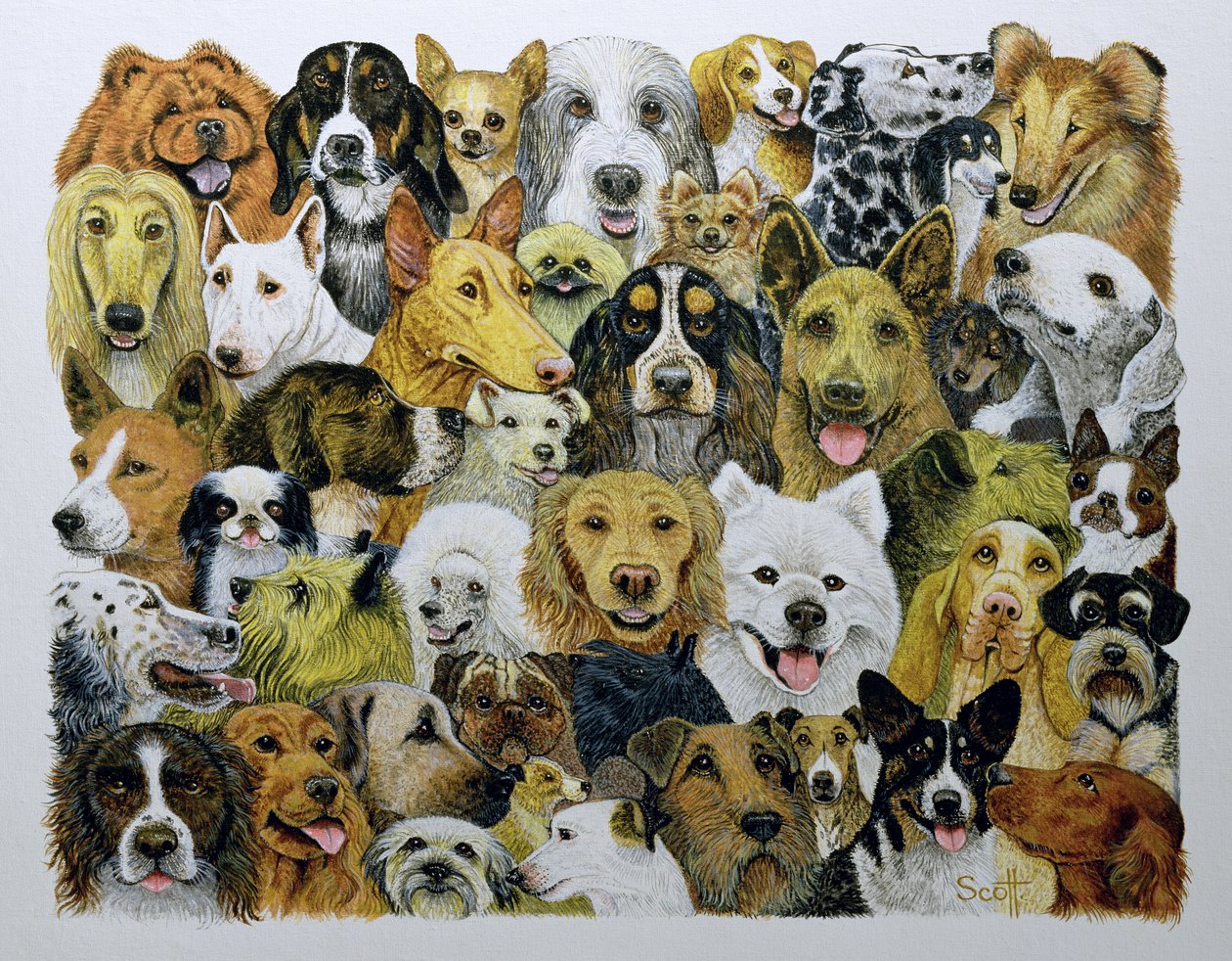 Amis des chiens (huile sur toile) - Pat Scott