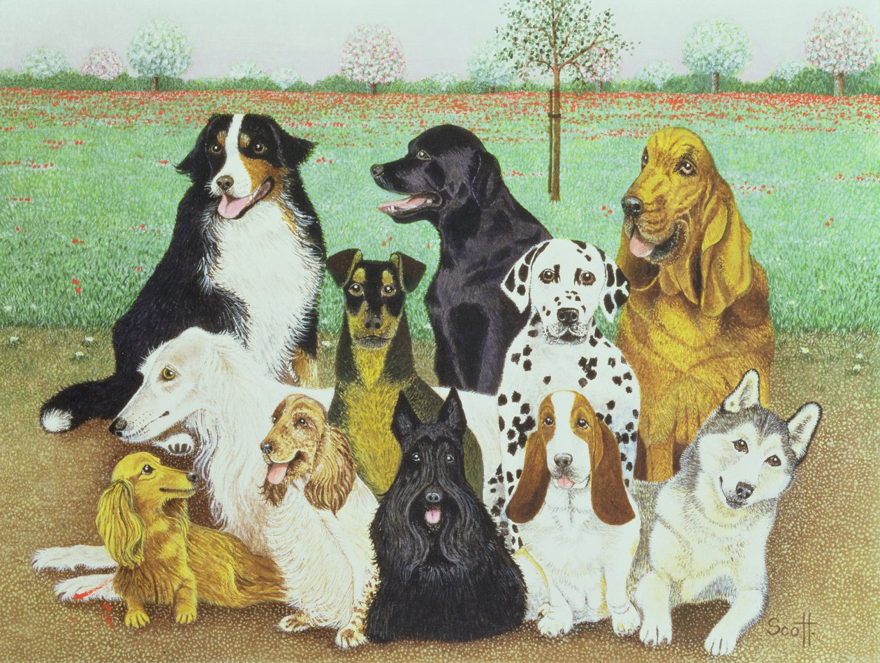 Surveillance des chiens - Pat Scott
