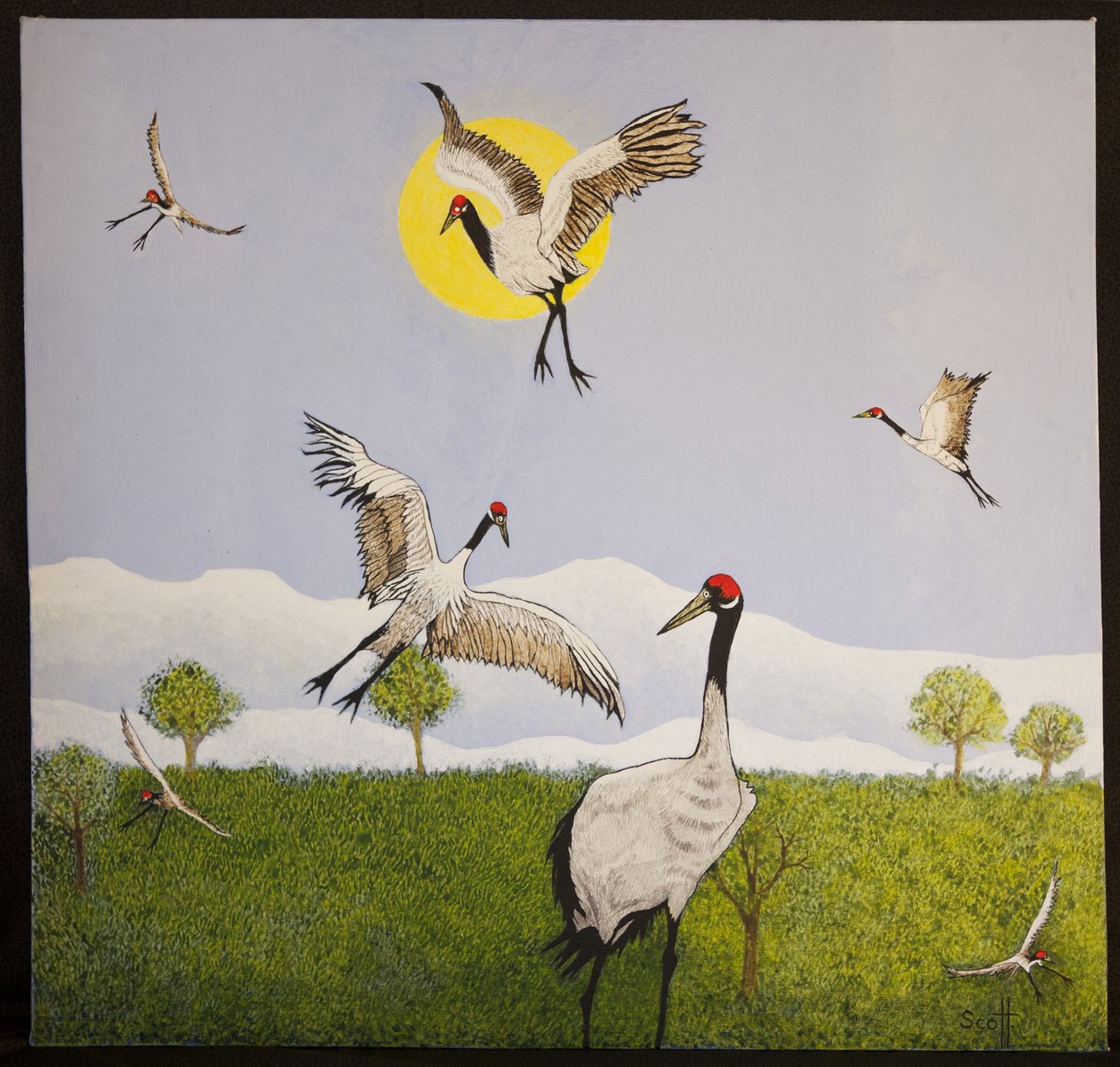 Hérauts du printemps, 2016 - Pat Scott