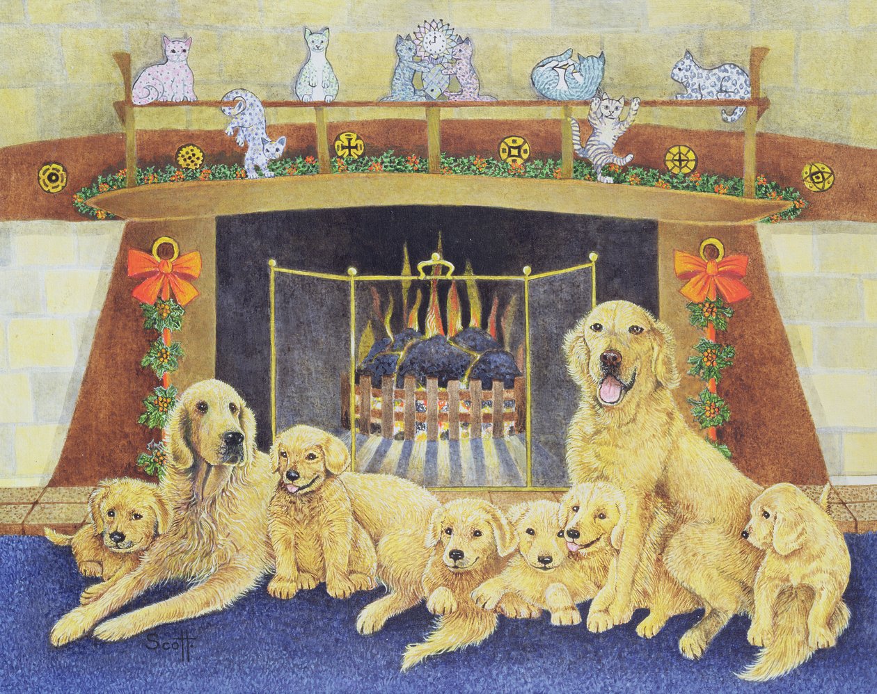 Maison et foyer - Pat Scott
