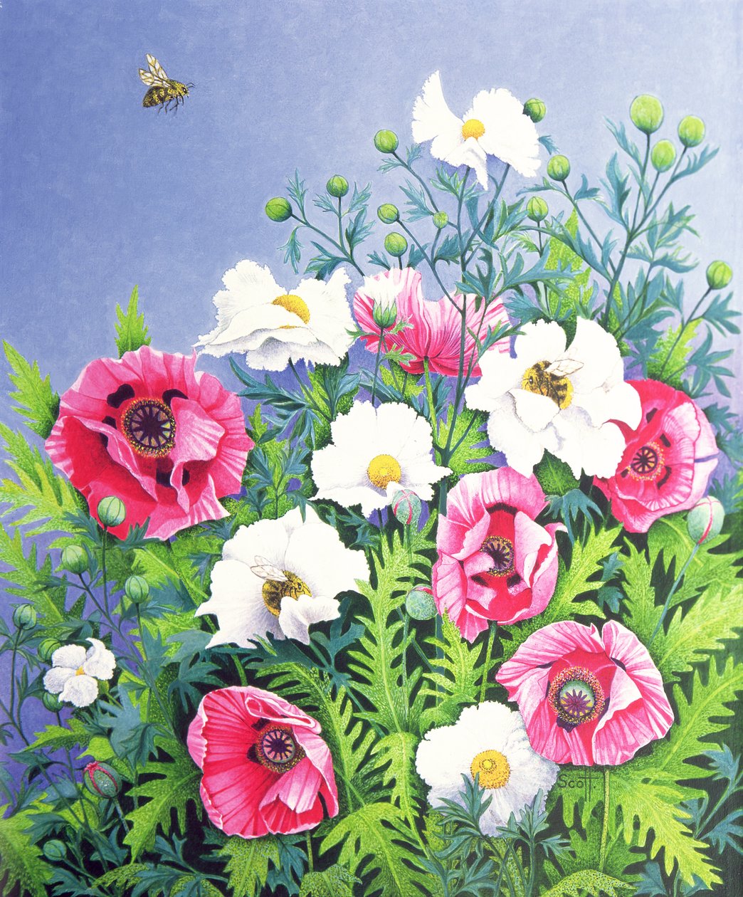 Honey Bee, Honey Bee (huile sur toile) - Pat Scott