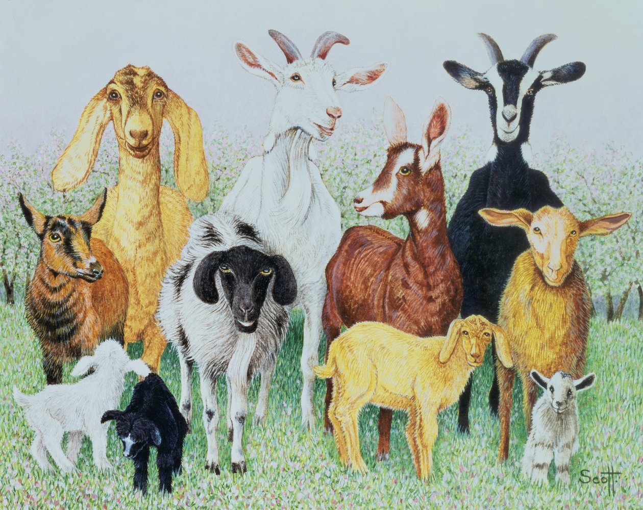 In Clover (acrylique sur calicot) - Pat Scott